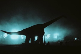 The End of Oak Street The End of Oak Street