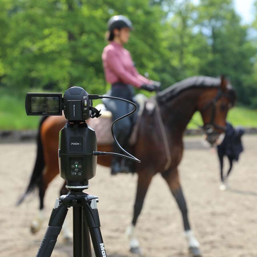 Pixem Horse