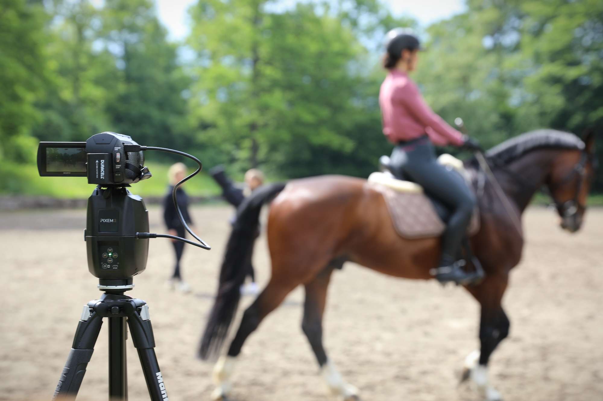 Equitation