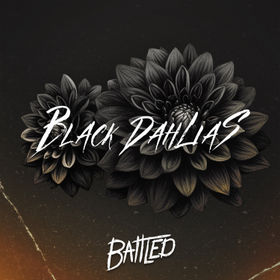 Black Dahlias Single 