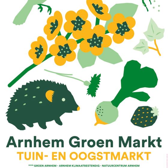 Live spelen op Groen Markt in Arnhem
