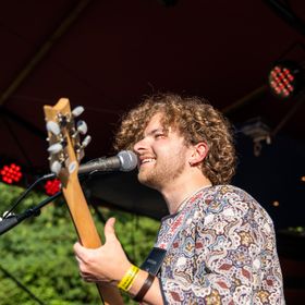 Niek de Vries