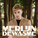 Merlijn Dewasme