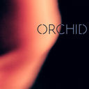 orchid