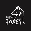 The Neat Foxes