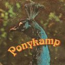 Ponykamp