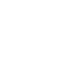 A Primitive Future