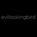 evillookingbird