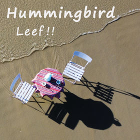 Cover CD & Vinyl 'Leef !!' - released 23/04/'23