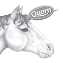 The Uniquorns