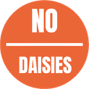 no daisies