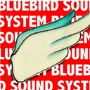 Blue Bird