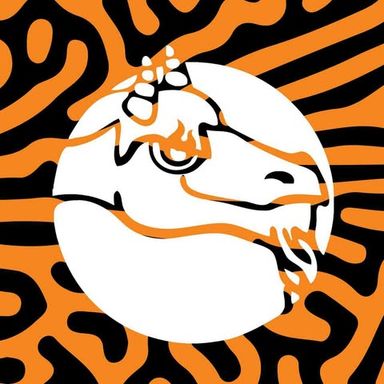 Willrock Demo Battle 2025