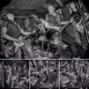 The Distractors