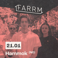 Support Hammok (NO) bij Farrm!