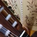 animata