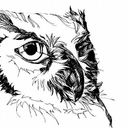 l'Hibou