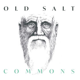 album cover 'Commons'