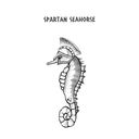 Spartan Seahorse