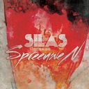 Silas en de Spreeuwen