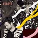 felins