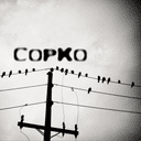 CopKo