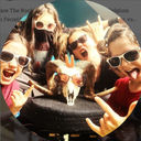 The Rocking Sharks