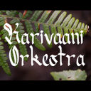 Karivaani Orkestra