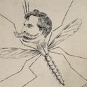 Sir Mosquito