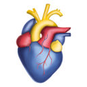 iheart