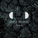 delta drones