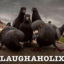 Laughaholix