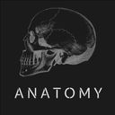 Anatomy