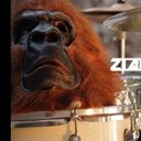 zians