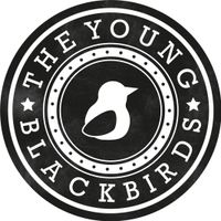 Muziekwedstrijd The Young Blackbirds
