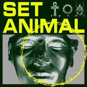 Set Animal - Spent 