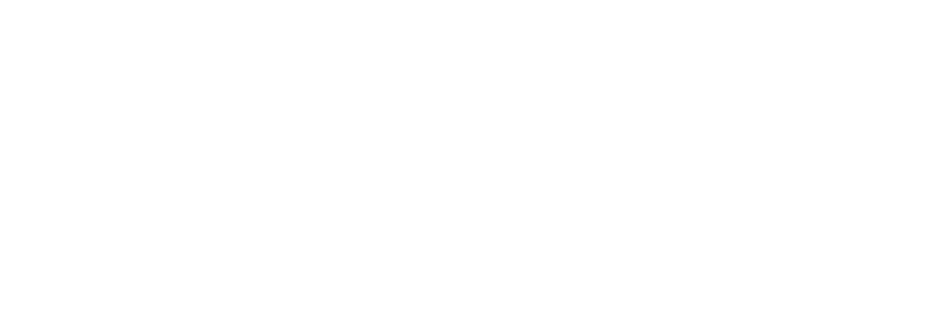 Dj MV-RZ