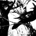 Prophecy Of Crows