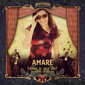 #Tomorrowland2017 