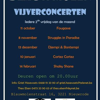 Vijverconcert 31/01