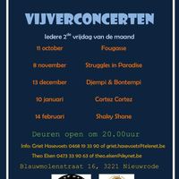 Vijverconcert 31/01