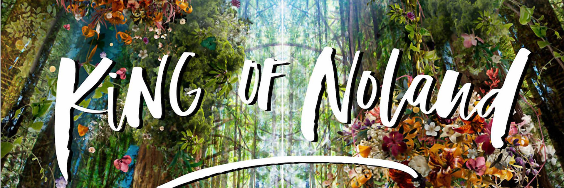 King of Noland1