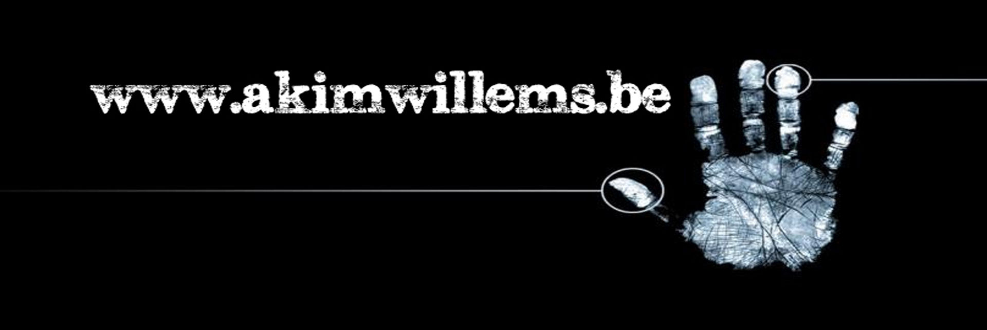 Akim A.J. Willems
