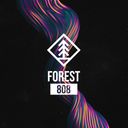 Forest 808 Festival