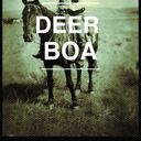 Deer Boa