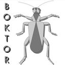 Boktor