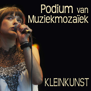 Podium v Muziekmozaïek 2015 - Kleinkunst