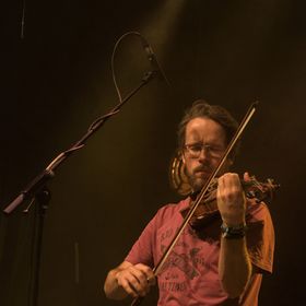 Fiddlers on the Move © David Van Ransbeeck