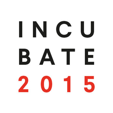 10 vi.be-bands op INCUBATE 2015