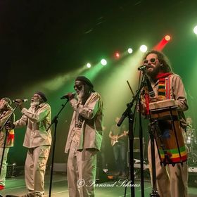 Pura Vida & The Congos Live at Bredene